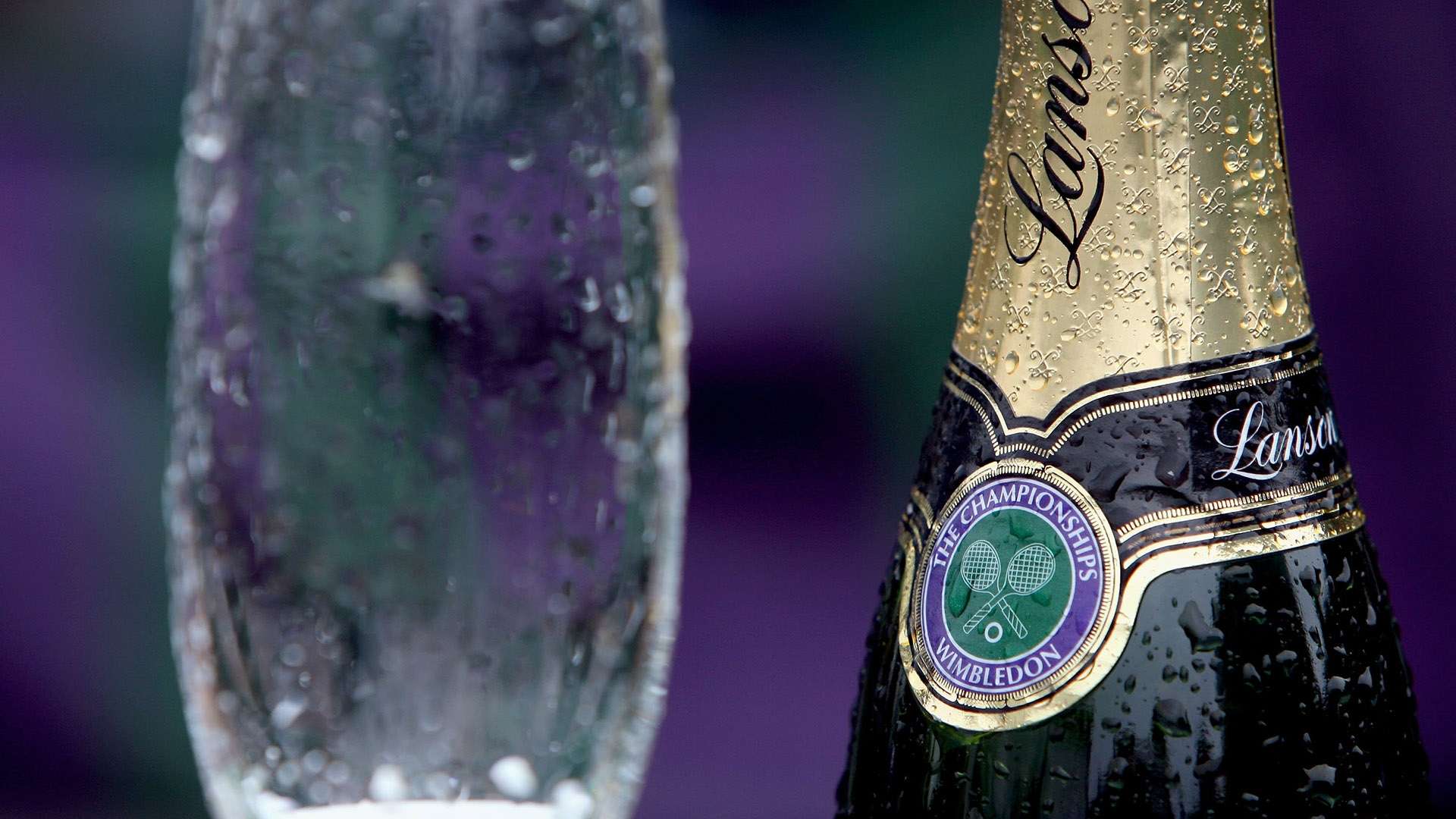 再次回想起 再次回想起